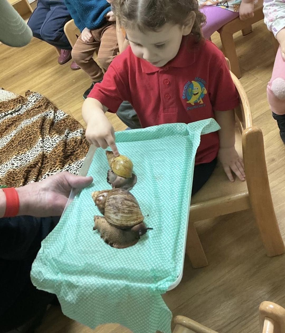 A Special Visit from Exmoor Zoo